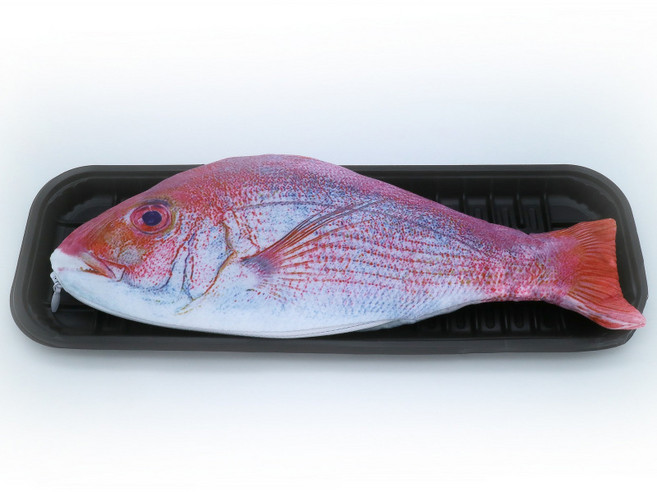 심플리지 생선 필통, 레드, 1개