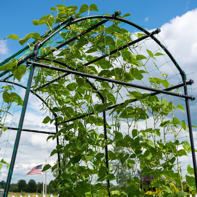 터널형 식물지지대 넝쿨 아치 덩쿨 호박 포도 장미 오이나무 지지대