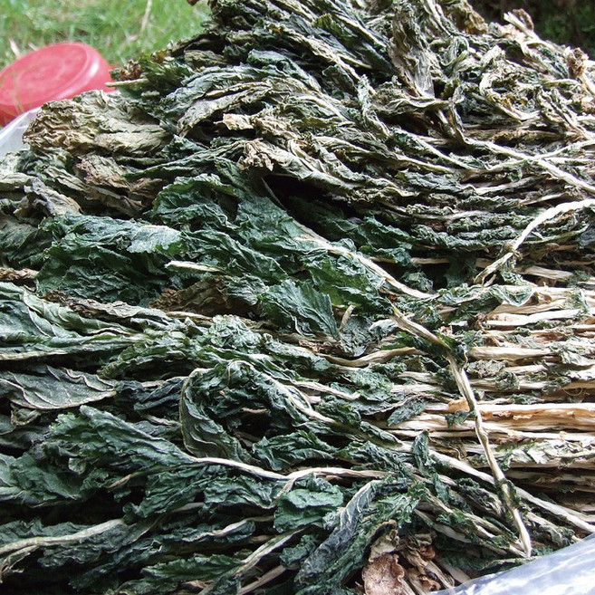 유기농 무청 말린시래기 건 무청 시래기 건시래기 건조시래기 유기농시래기, 1개, 500g