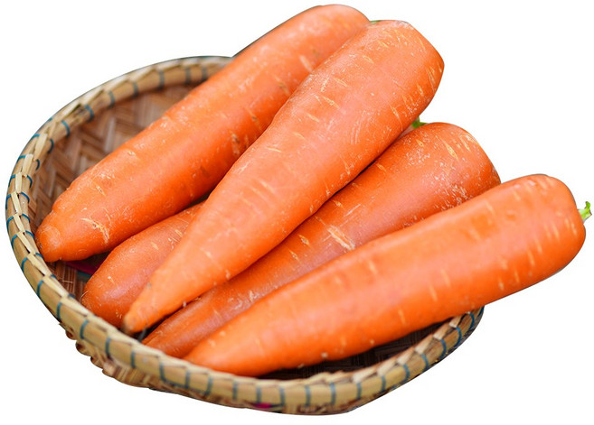 지구마을 친환경인증 제주 유기농 햇당근 흙당근 상, 1개, 5kg