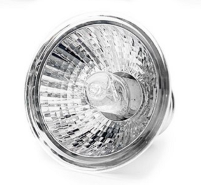 아쿠아테라 랩타일 파충류 앤 거북이 할로겐램프 25W, 단일, 8개