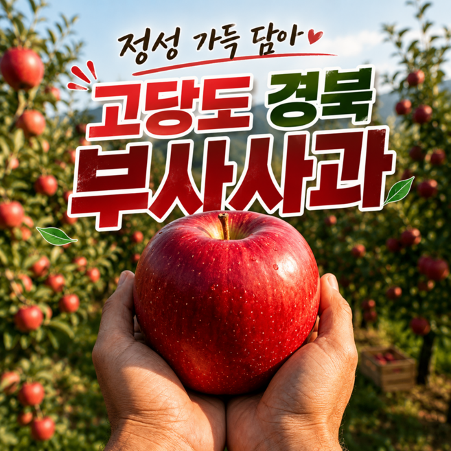 오늘자연마켓 부사사과 가정용 고당도 꿀사과, 1개, 10kg 중소과(40~49과내)