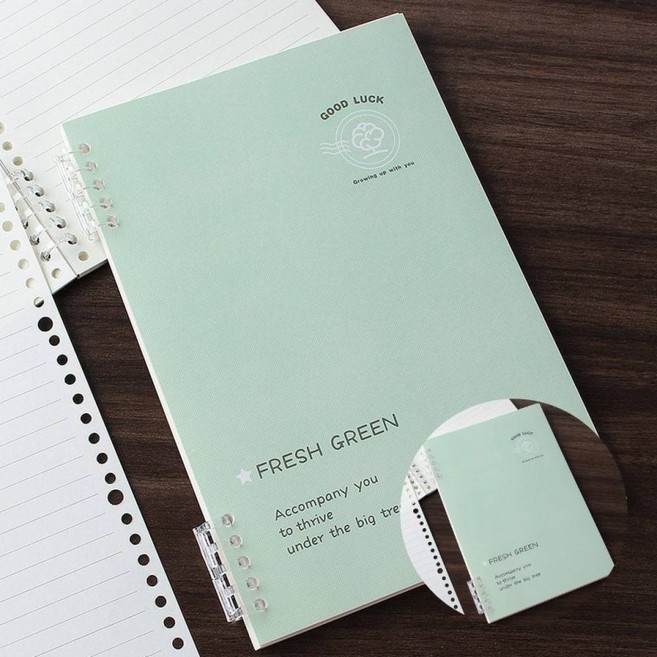 A5 루스리프 유선 노트 2p세트 60매 그린 영어노트 과학탐구노트, 1개, 상세페이지 참조