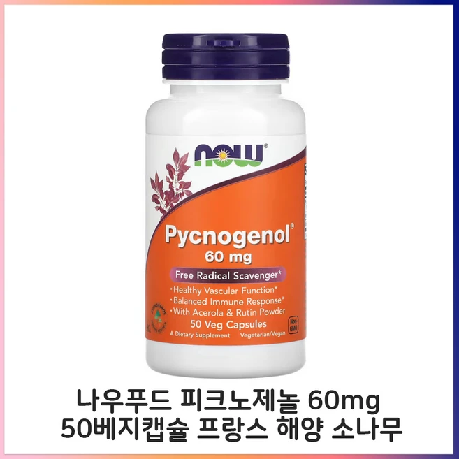 NOWFood 피크노제놀60mg50정 식물성캡슐 프로안토시아니딘 소나무껍질, 50정, 1개 - 쿠팡