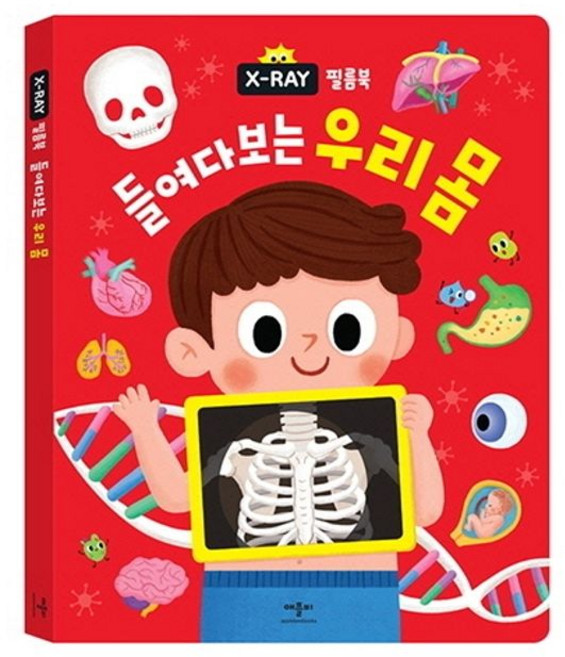 X-RAY 필름북 들여다보는 우리 몸, 애플비북스, 없음