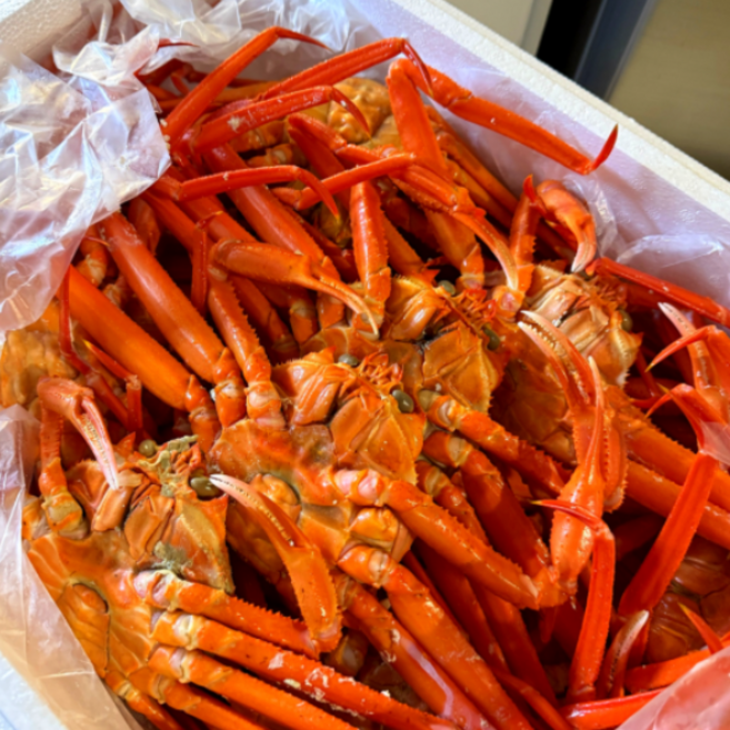 국내산홍게 [재구매율1위] 프리미엄자숙홍게 제철홍게 수율최고, 1개, 1.5kg