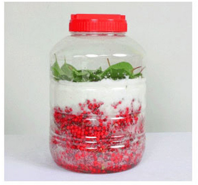 해피아 문경 생오미자 당절임10kg (오미자5kg+설탕5kg) 생과 열매 청 25년산, 1개