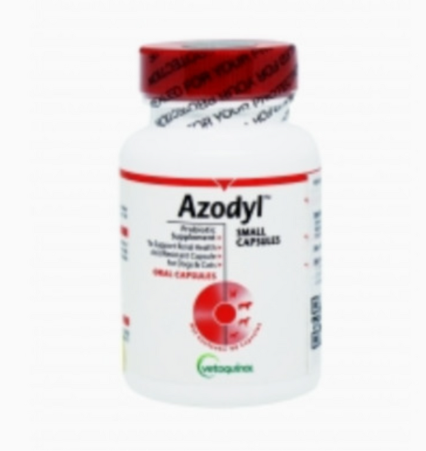 베토퀴놀 반려동물 영양제 142g 7종택1, 1회분, 활력, 1개