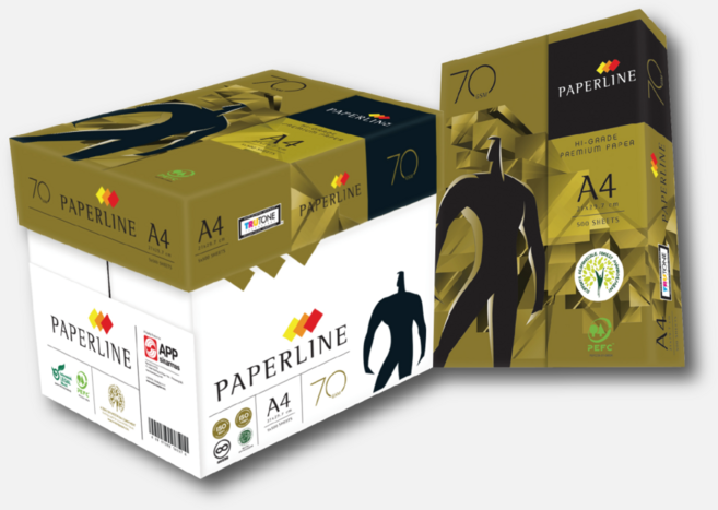 PAPERLINE金牌多功能影印紙 70磅高質量 適用於辦公室文件列印, 10包, A4