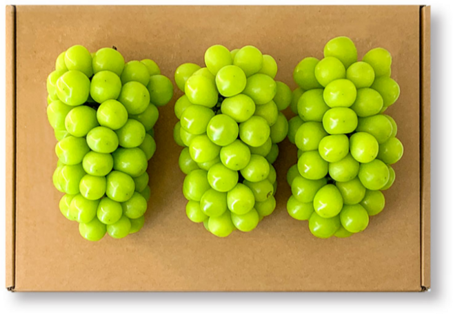 [최저가도전] 20brix 아삭아삭 유명산지 망고 샤인머스켓 산지배송 1박스 4kg (4~6송이), 1개, 샤인머스켓 4kg