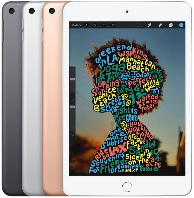 애플 아이패드 미니 5세대 7.9형, Wi-Fi, 64GB, 실버