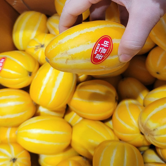 가정용 실속 참외 랜덤과 못난이 참외, 1박스, 5kg