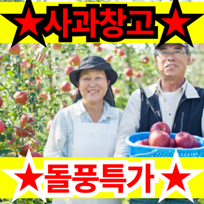 [비밀창고 개방] 놓치지마특가 못난이사과 국민께감사 고당도 보조개 사과, 1박스, 10kg