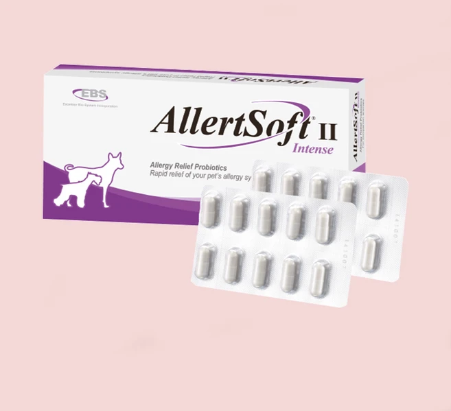 알러소프트 인텐스 강아지 고양이 아토피 알러지 영양제, 20정, 피부/피모+알러지, 1개 - 쿠팡