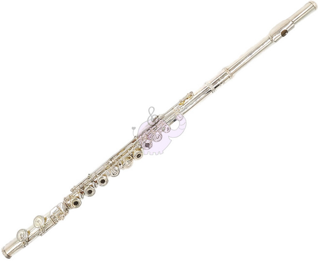 Elegant FL-3110 長笛 頭純銀 開孔 E鍵, 詳見包裝
