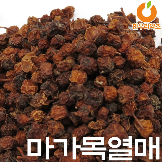마가목열매 마가목껍질 마가자 효능 먹는법, 마가목열매300g, 1개, 300L