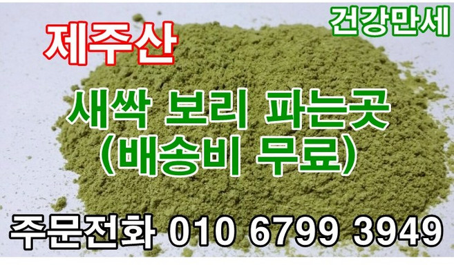 국내산 새싹보리 분말 파는곳 보리새싹 분말 효능 새싹보리 가루분말 1KG, 제주산 새싹보리 분말100%( 1kg), 1개