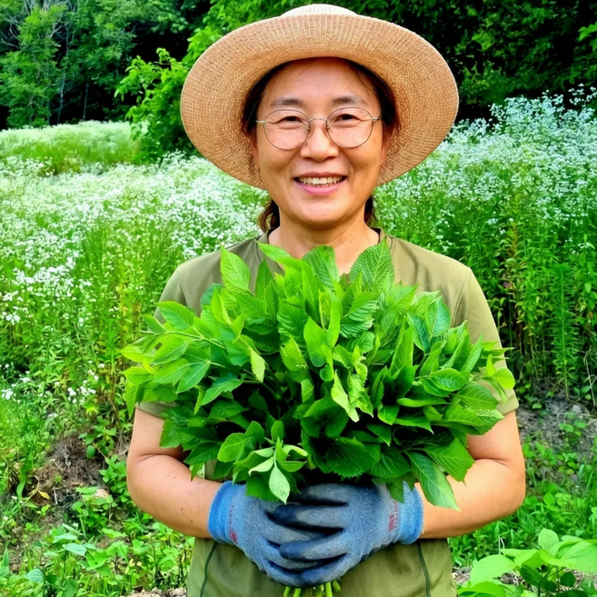 [새벽당일수확] 프리미엄 가시없는 햇 여름두릅, 1박스, 1kg