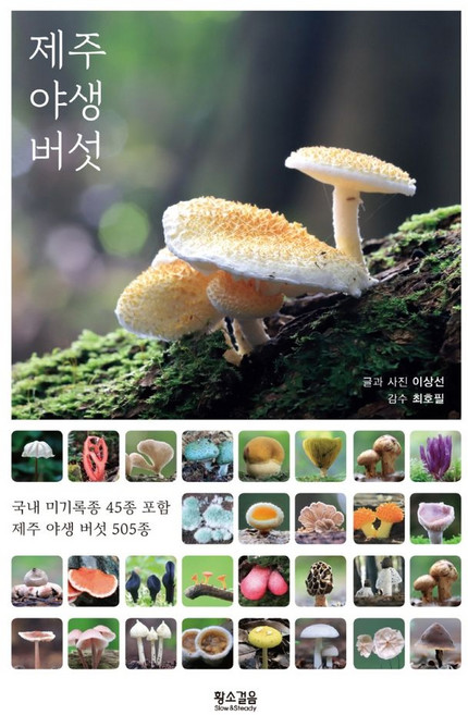 제주 야생 버섯, 황소걸음, 이상선