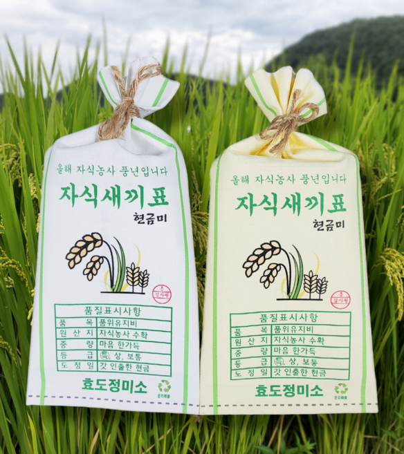 흥작가 쌀포대 용돈봉투 자식농사 풍년 생일 생신 설날 추석 어버이날 부모님 용돈이벤트, 부모님은혜에감사드립니다, 손주아들내미, 황색_벼모양 쌀포대, 1개