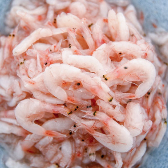 [자연식탁] 명품 국산 천일염 신안 새우젓 추젓 무침 김장 양념 요리, 2개, 2kg