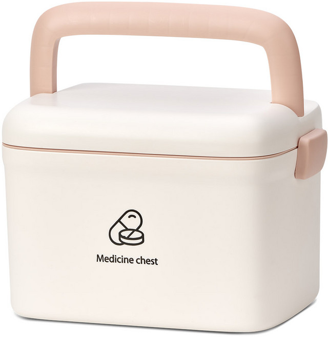 헬스투데이 2단 구급함 케이스 대형, 1개