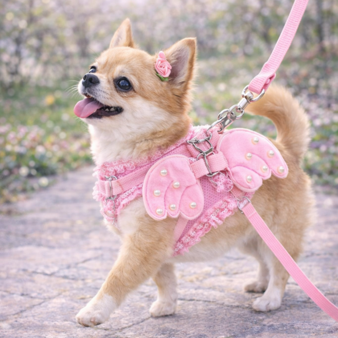 강아지 하네스 리드줄 세트 | 소형견 가슴줄, 1개, 핑크