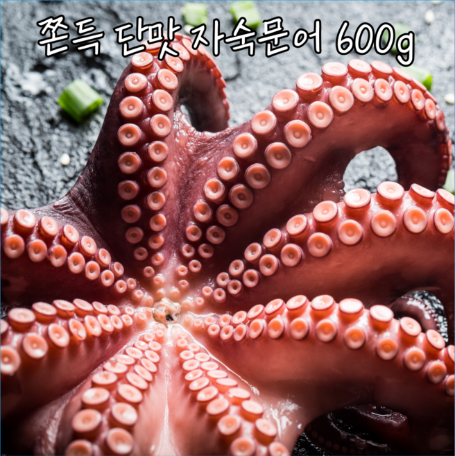 자숙문어 냉동 삶은 데친 제수용 문어 600g, 1개, 자숙 후 약 600g(500~700g)