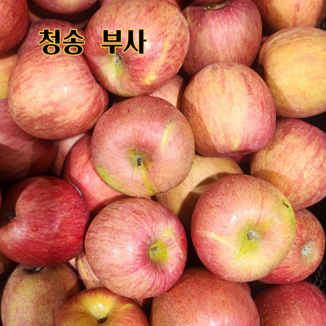 사과 당도선별 청송사과 고산지 부사사과, 1박스, 10kg (가정용)