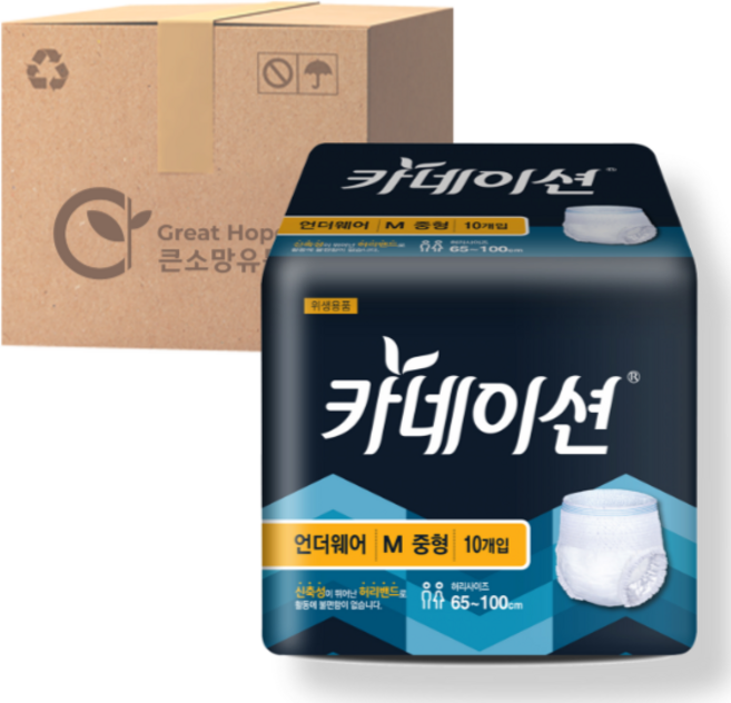 카네이션 남여공용 성인기저귀 언더웨어 M, 중형, 10개입, 8개