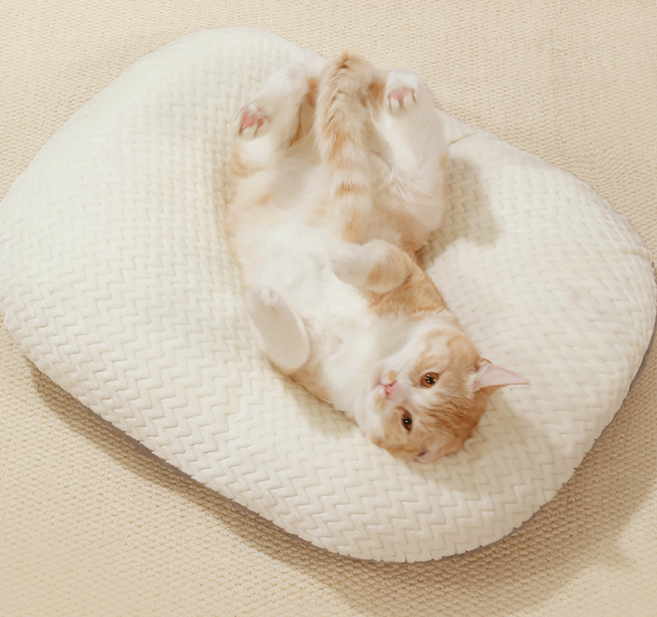 Jeernare 포근포근 강아지 방석 양면 극세사 강아지 쿠션 커버분리세탁 소형견 중형견 추천, 1개, 그레이