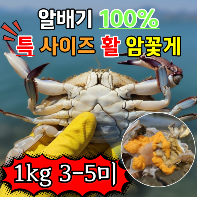 [서해안 당일조업] 국내산 생물 암꽃게, 1개, 1kg