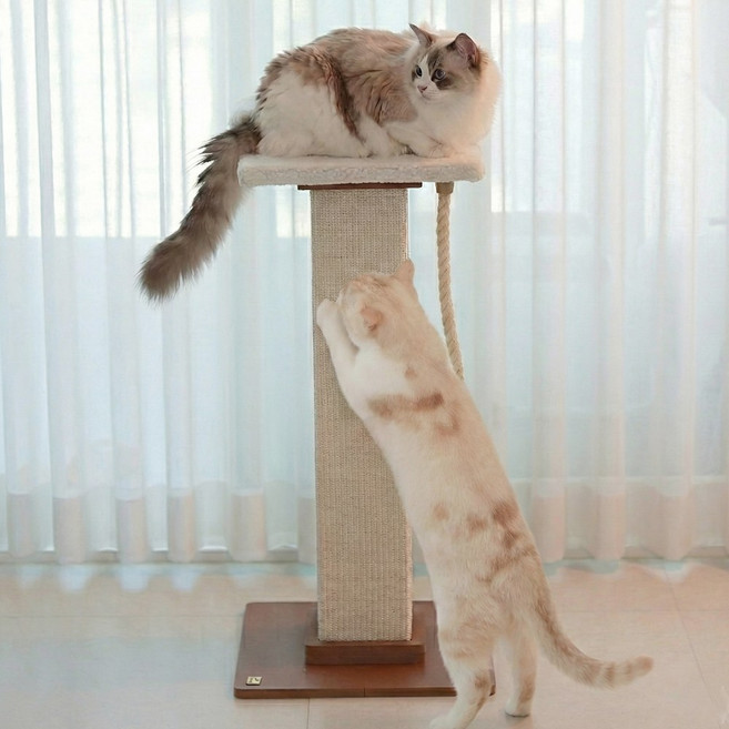 아토주 파우제 고양이 기둥 수직 스크래쳐 탑시트 포함, 1개, 플리스 화이트 세트