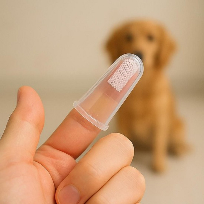 고양이칫솔 강아지칫솔 반려동물 손가락 고양이양치 강아지양치 반려견 치아관리 10p, 없음