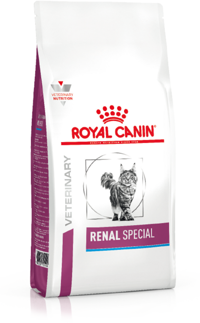 [로얄캐닌] 캣 레날 스페셜 2kg 건사료 + 동물병원 전용 유산균 / 신장 / 신부전 처방식 / 처방사료, 1개