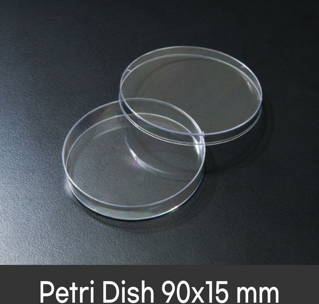 SPL Petri dish 90x15mm (10개/pk) 페트리디쉬 10090
