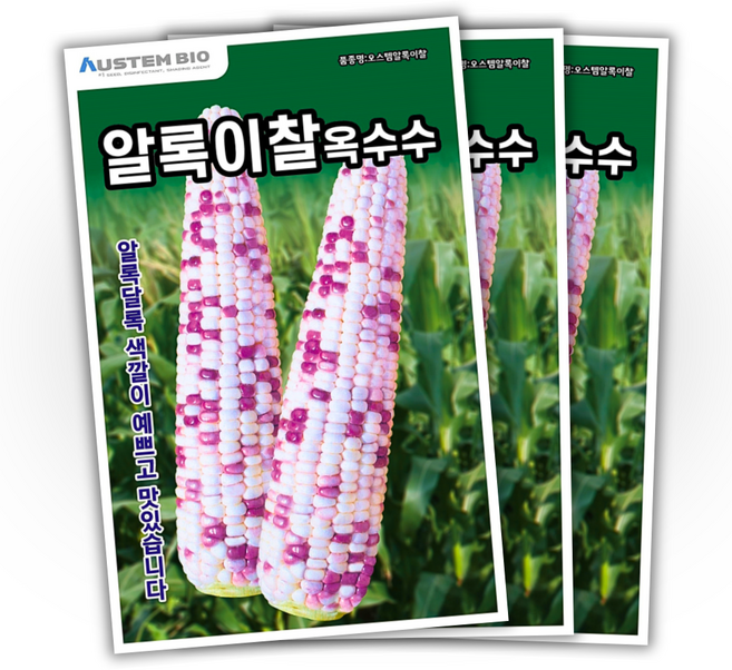 주주씨앗 알록이찰옥수수 씨앗 150립 얼룩찰옥수수 씨앗 다수확 통큰 옥수수, 3개
