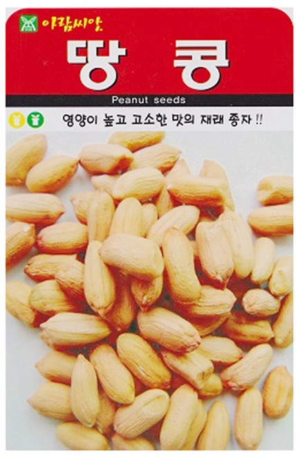 땅콩 씨앗 콩 씨 잡곡 종자, 2개