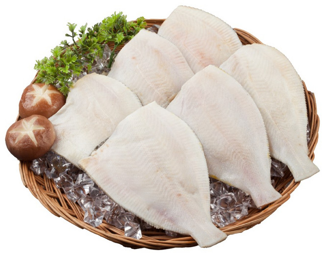 국내산 손질되어 먹기 편한 반건조 참가자미 가자미, 6개, 100g(총중량600g)