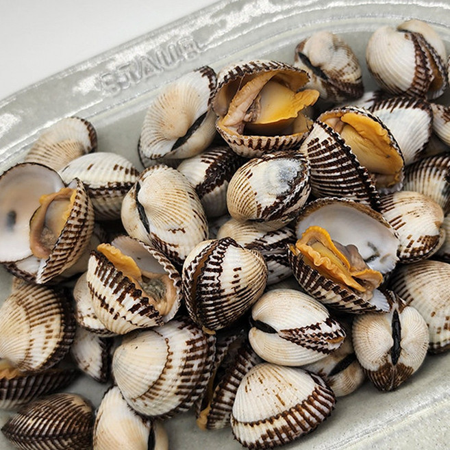 벌교 새꼬막 당일조업 1kg 제철 국내산 꼬막 산지직송, 1개, 1kg 특대(70미 내외)