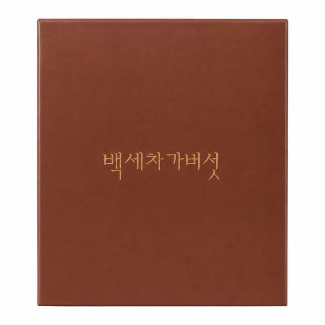 백세 차가버섯 분말 차 티백 러시아, 100g, 1개