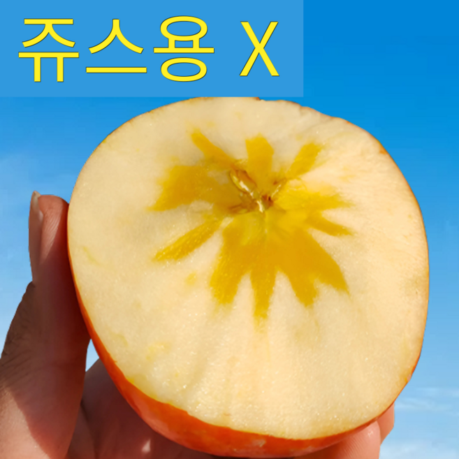 [초특가1위] 꿀brix 초고당도 과즙뚝뚝 못난이사과, 1박스, 3KG