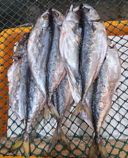 반건조고등어 (건조고등어) 국산고등어 간고등어 자반고등어 고등어구이 고등어요리, 3개, 반건조고등어 350g내외