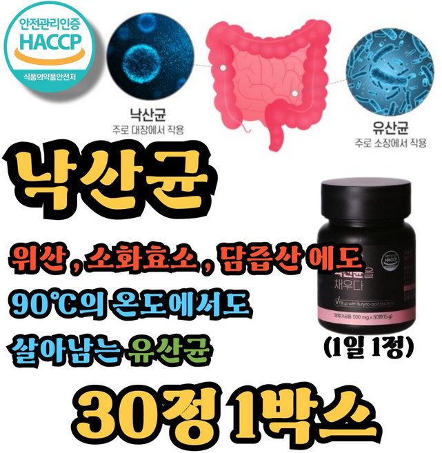 포스트바이오틱스 유산균추천 낙산균 비피더스 프로바이오틱스유산균, 1박스, 30정