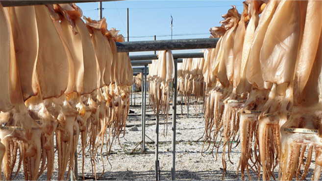 [중독적인맛] 굽지 않고 즐기는 쫄쫄이오징어 간식부터 안주까지 간편하게 즐기세요!, 1개