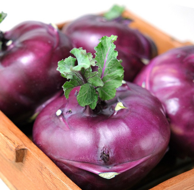 해송 농장직송 제주 단맛 콜라비, 1박스, 5kg