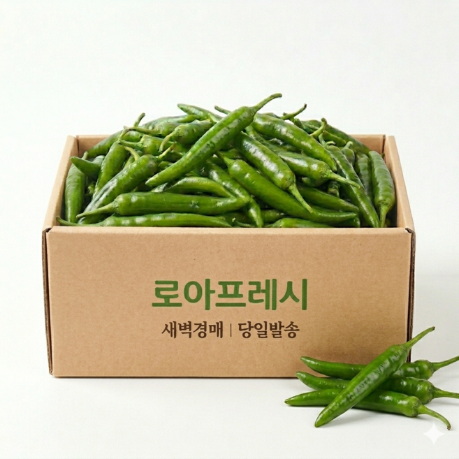 로아프레시 새벽경매 당일발송 국내산 청양고추, 1개, 500g