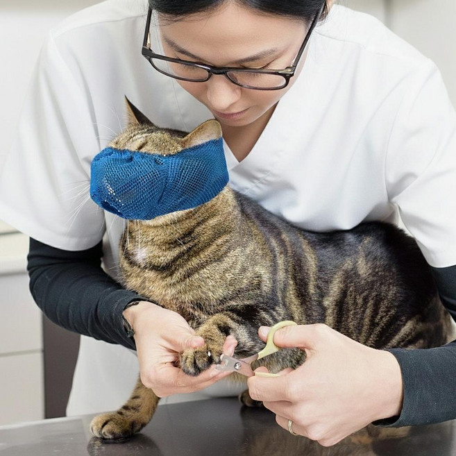 물림방지 통기성 메쉬 고양이 케어 입마개 마스크, 1개, 블루 L