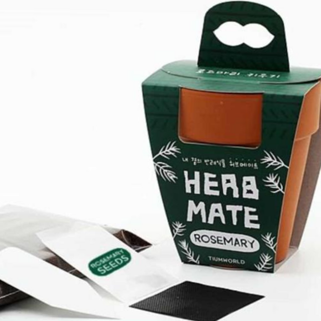 허브 로즈마리 식물키우기세트 허브식물 키트_WFJG8U2, 본상품