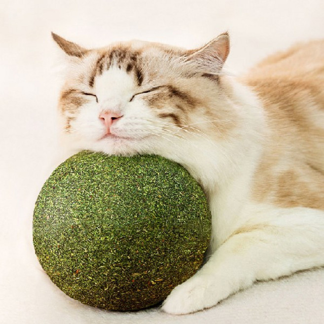 고냥냥 대왕 캣닢볼 고양이 장난감, 1개